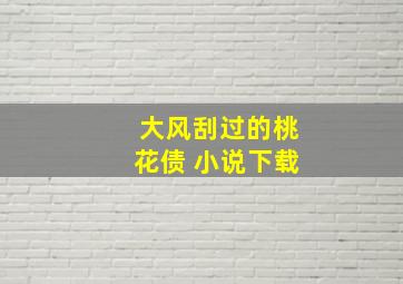 大风刮过的桃花债 小说下载